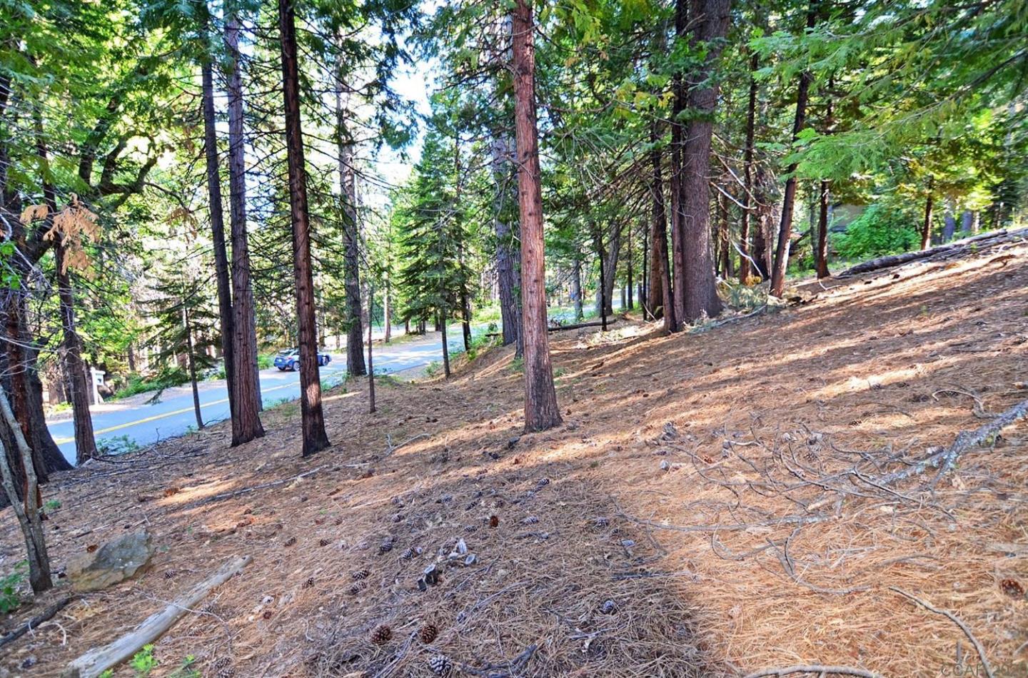 2545 Cheyenne Way, OTHER - SEE REMARKS, California 95223, ,Lots And Land,For Sale,Cheyenne Way,40963040