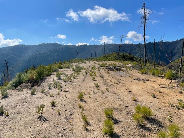 0 Loma Chiquita Road, LOS GATOS, California 95033, ,Lots And Land,For Sale,Loma Chiquita Road,40963041