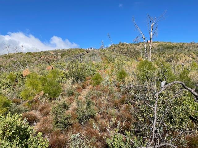 0 Loma Chiquita Road, LOS GATOS, California 95033, ,Lots And Land,For Sale,Loma Chiquita Road,40963041