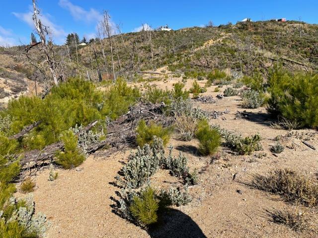 0 Loma Chiquita Road, LOS GATOS, California 95033, ,Lots And Land,For Sale,Loma Chiquita Road,40963041