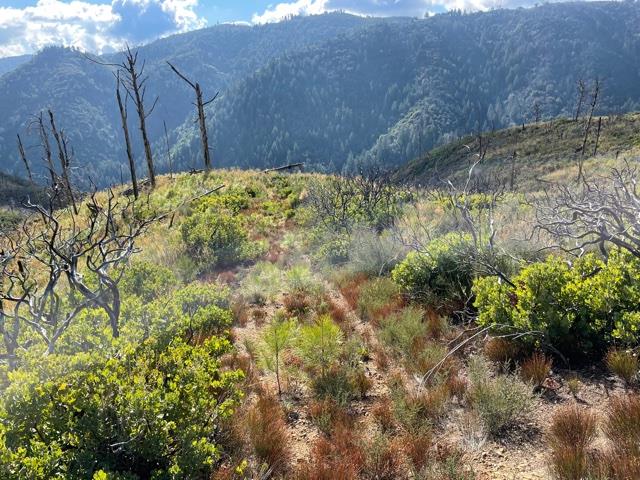 0 Loma Chiquita Road, LOS GATOS, California 95033, ,Lots And Land,For Sale,Loma Chiquita Road,40963041