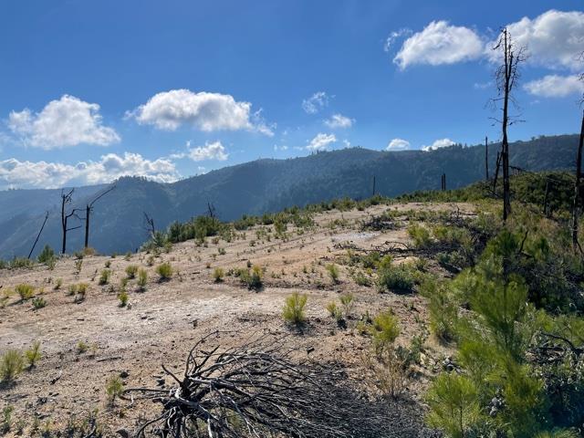 0 Loma Chiquita Road, LOS GATOS, California 95033, ,Lots And Land,For Sale,Loma Chiquita Road,40963041