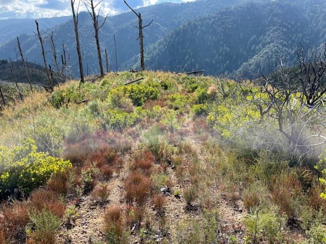 0 Loma Chiquita Road, LOS GATOS, California 95033, ,Lots And Land,For Sale,Loma Chiquita Road,40963041