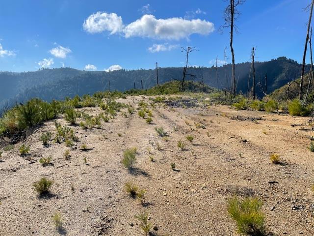 0 Loma Chiquita Road, LOS GATOS, California 95033, ,Lots And Land,For Sale,Loma Chiquita Road,40963041