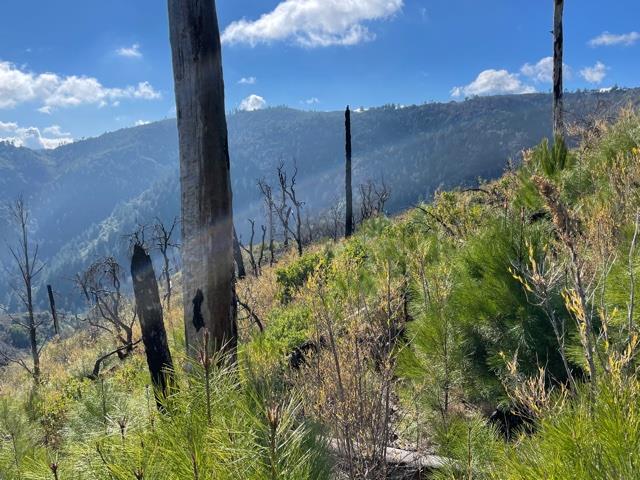 0 Loma Chiquita Road, LOS GATOS, California 95033, ,Lots And Land,For Sale,Loma Chiquita Road,40963041