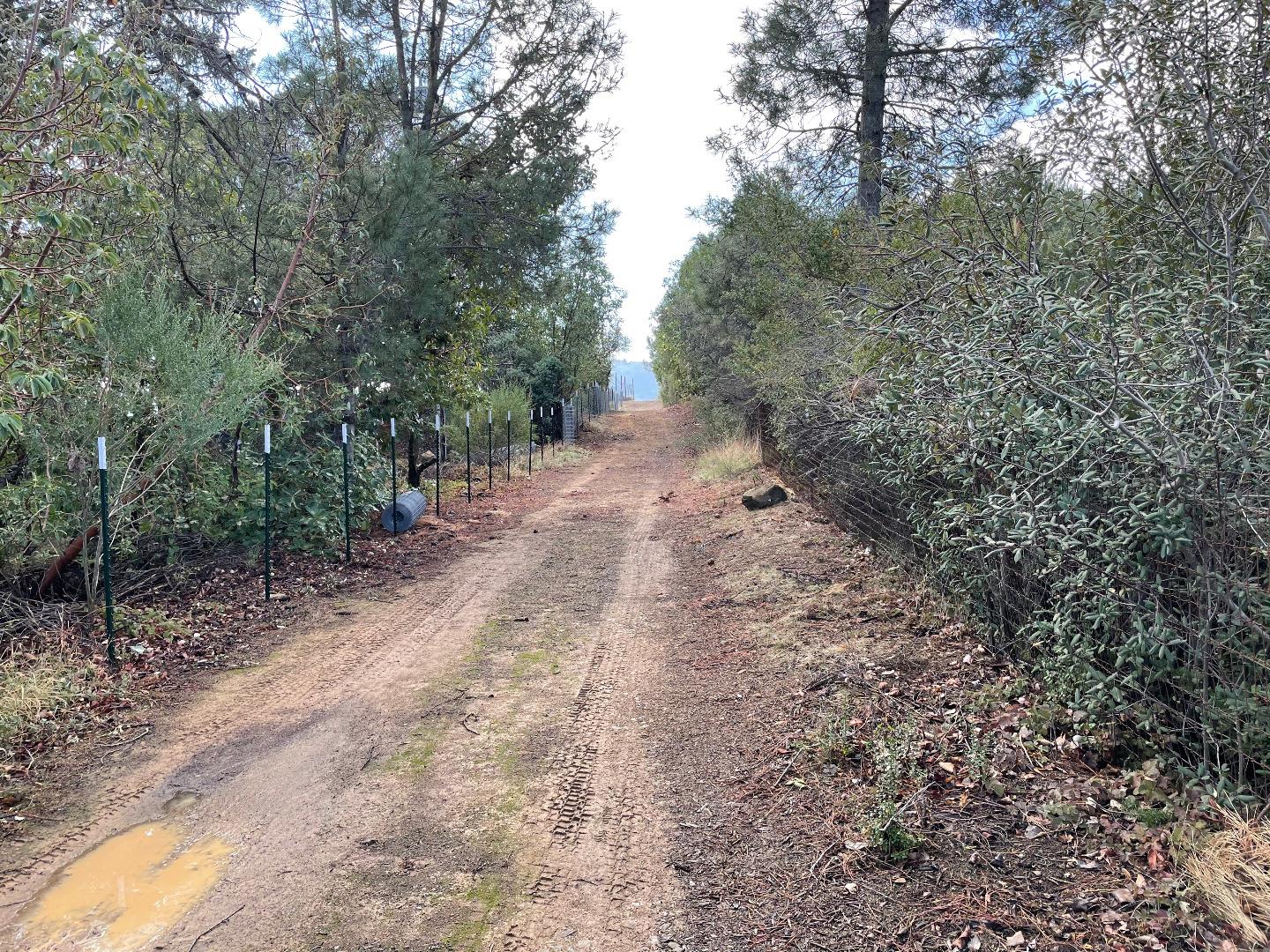 0 Loma Chiquita Road, LOS GATOS, California 95033, ,Lots And Land,For Sale,Loma Chiquita Road,40963041
