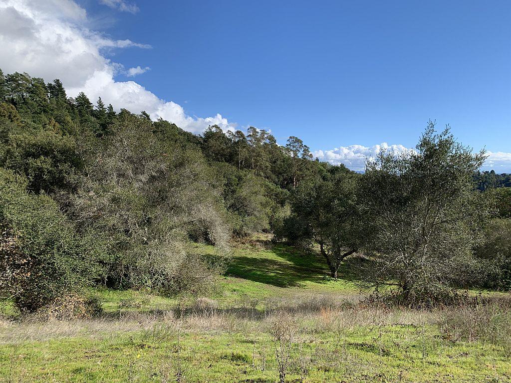 Lot 10 Apple Valley Lane, CORRALITOS (WATSONVILLE), California 95076, ,Lots And Land,For Sale,Apple Valley Lane,40963042