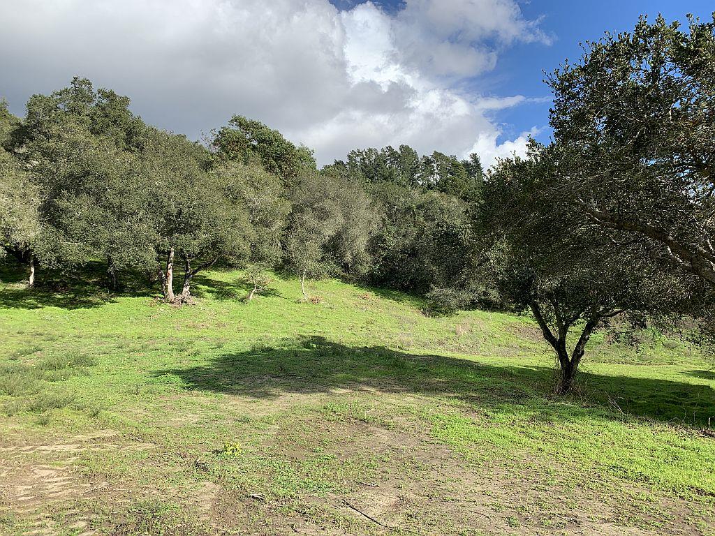 Lot 10 Apple Valley Lane, CORRALITOS (WATSONVILLE), California 95076, ,Lots And Land,For Sale,Apple Valley Lane,40963042
