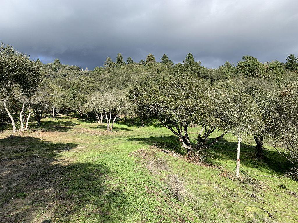 Lot 10 Apple Valley Lane, CORRALITOS (WATSONVILLE), California 95076, ,Lots And Land,For Sale,Apple Valley Lane,40963042