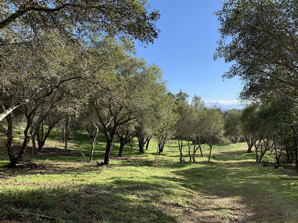 Lot 10 Apple Valley Lane, CORRALITOS (WATSONVILLE), California 95076, ,Lots And Land,For Sale,Apple Valley Lane,40963042