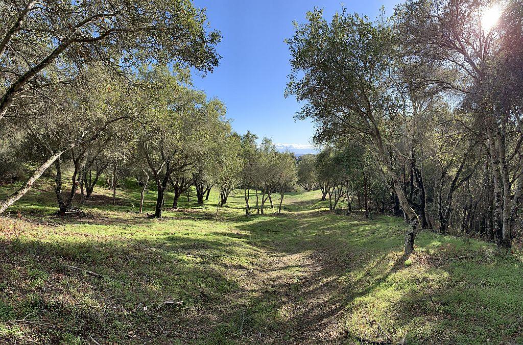Lot 10 Apple Valley Lane, CORRALITOS (WATSONVILLE), California 95076, ,Lots And Land,For Sale,Apple Valley Lane,40963042