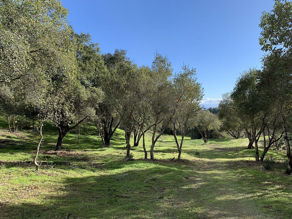 Lot 10 Apple Valley Lane, CORRALITOS (WATSONVILLE), California 95076, ,Lots And Land,For Sale,Apple Valley Lane,40963042