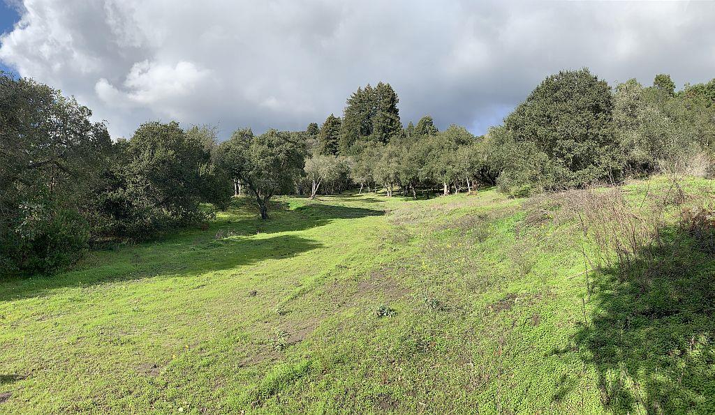 Lot 10 Apple Valley Lane, CORRALITOS (WATSONVILLE), California 95076, ,Lots And Land,For Sale,Apple Valley Lane,40963042