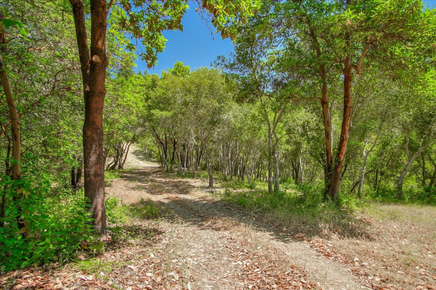 Lot 10 Apple Valley Lane, CORRALITOS (WATSONVILLE), California 95076, ,Lots And Land,For Sale,Apple Valley Lane,40963042