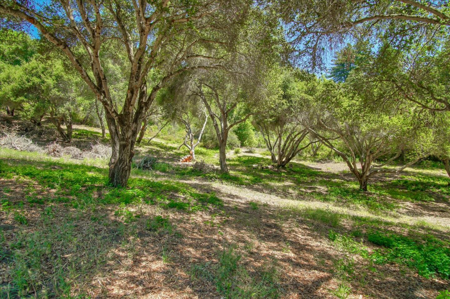 Lot 14 Apple Valley Lane, CORRALITOS (WATSONVILLE), California 95076, ,Lots And Land,For Sale,Apple Valley Lane,40963044