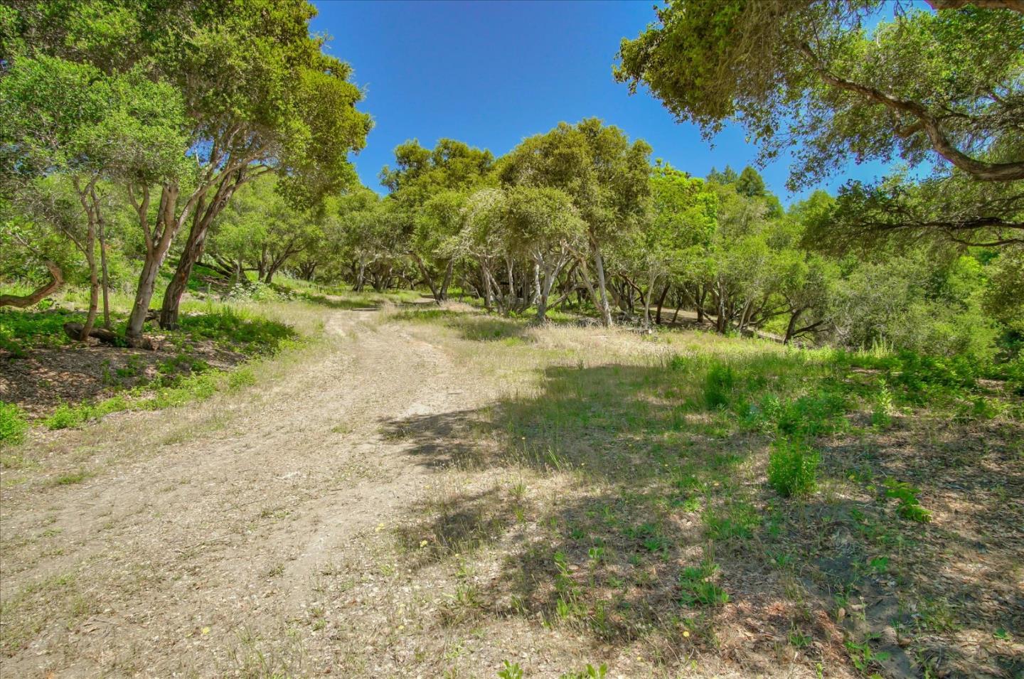 Lot 14 Apple Valley Lane, CORRALITOS (WATSONVILLE), California 95076, ,Lots And Land,For Sale,Apple Valley Lane,40963044