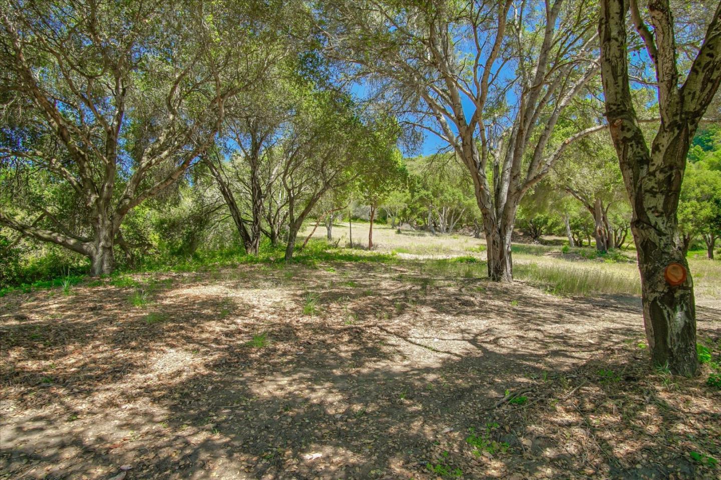 Lot 14 Apple Valley Lane, CORRALITOS (WATSONVILLE), California 95076, ,Lots And Land,For Sale,Apple Valley Lane,40963044