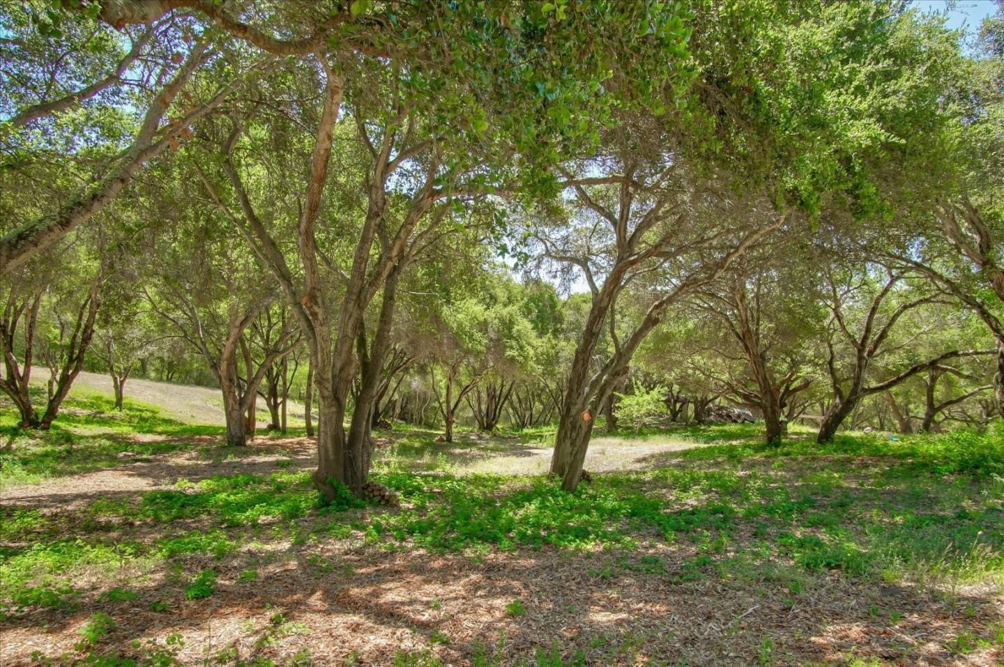 Lot 14 Apple Valley Lane, CORRALITOS (WATSONVILLE), California 95076, ,Lots And Land,For Sale,Apple Valley Lane,40963044