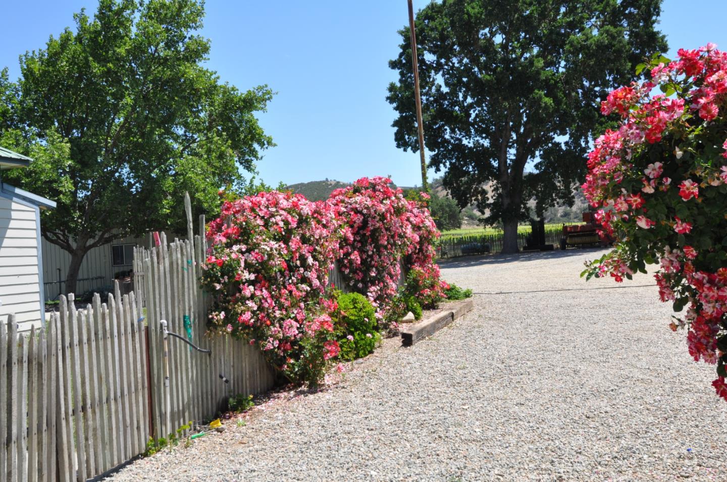 61173 Argyle Road, KING CITY, California 93930, ,Lots And Land,For Sale,Argyle Road,40963180