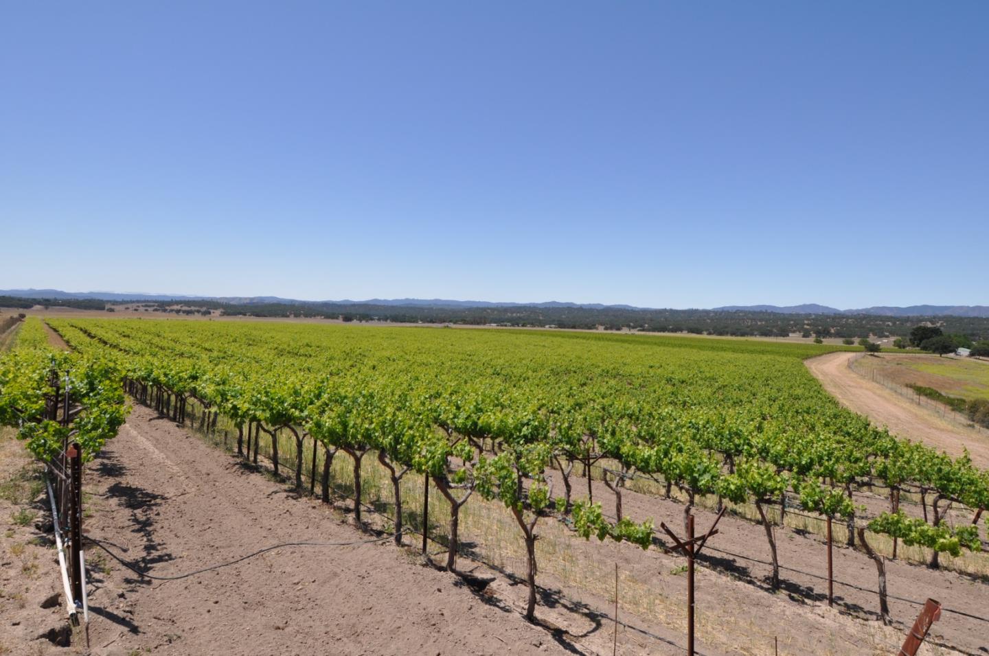 61173 Argyle Road, KING CITY, California 93930, ,Lots And Land,For Sale,Argyle Road,40963180