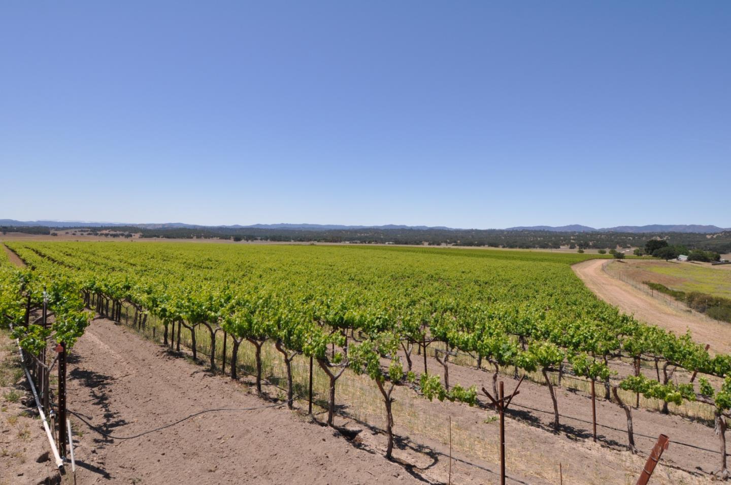 61173 Argyle Road, KING CITY, California 93930, ,Lots And Land,For Sale,Argyle Road,40963180