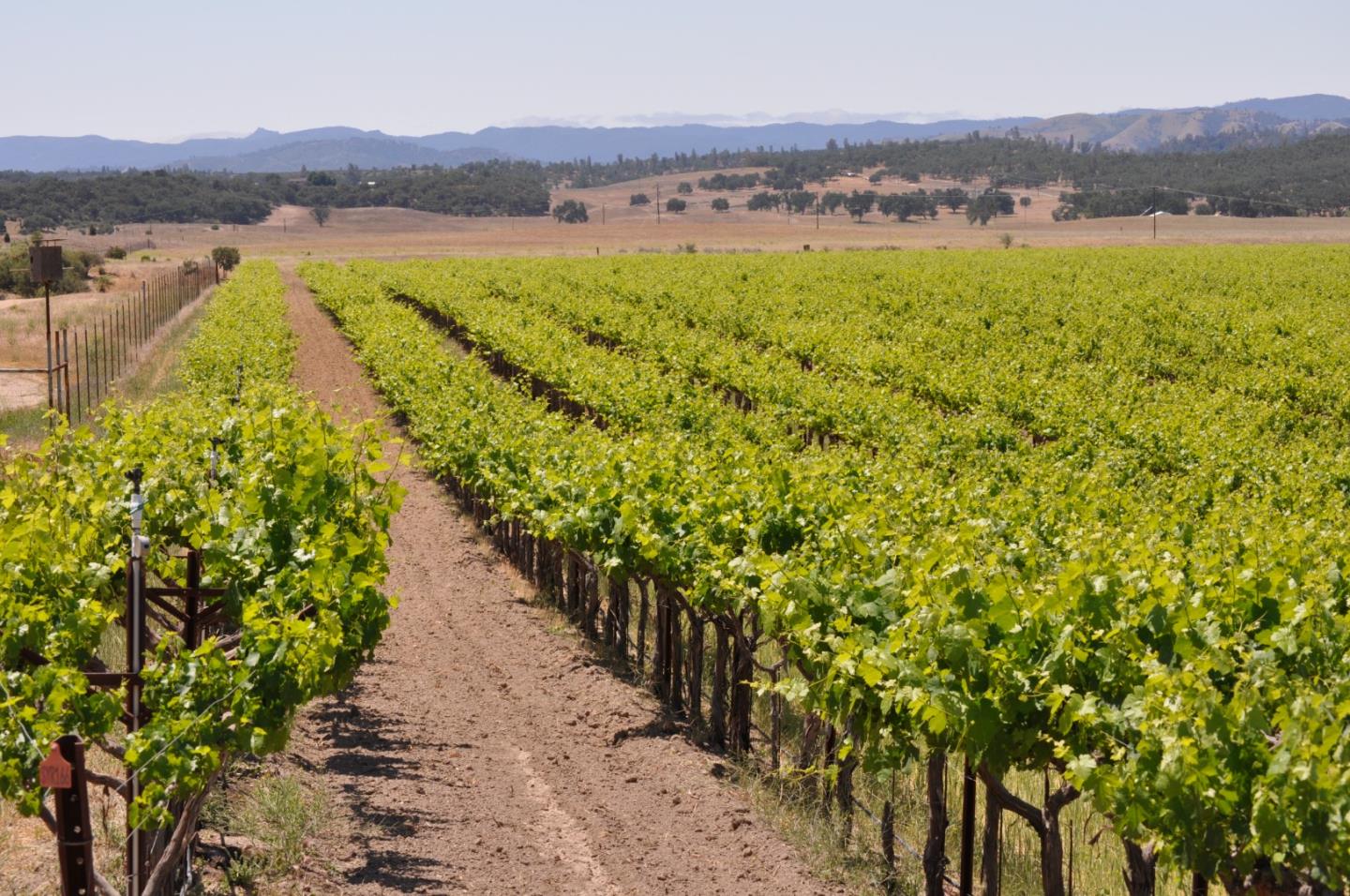 61173 Argyle Road, KING CITY, California 93930, ,Lots And Land,For Sale,Argyle Road,40963180