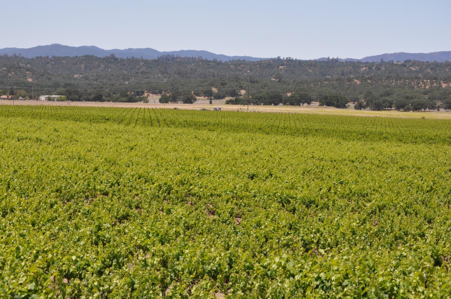 61173 Argyle Road, KING CITY, California 93930, ,Lots And Land,For Sale,Argyle Road,40963180