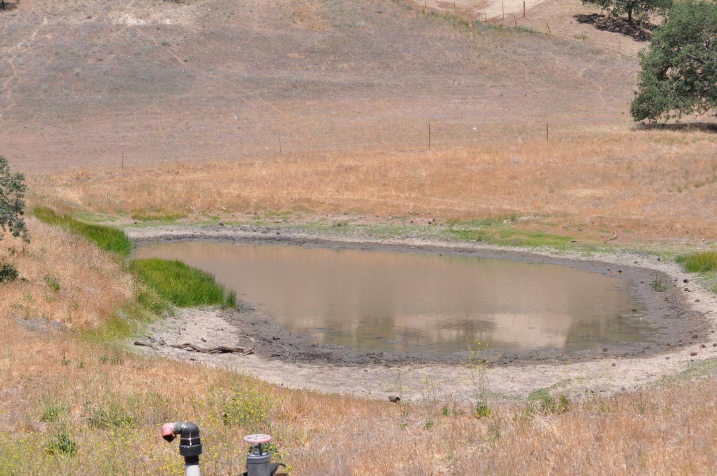 61173 Argyle Road, KING CITY, California 93930, ,Lots And Land,For Sale,Argyle Road,40963180