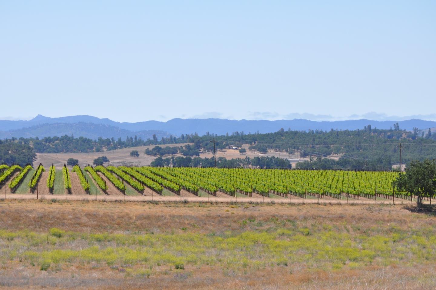 61173 Argyle Road, KING CITY, California 93930, ,Lots And Land,For Sale,Argyle Road,40963180