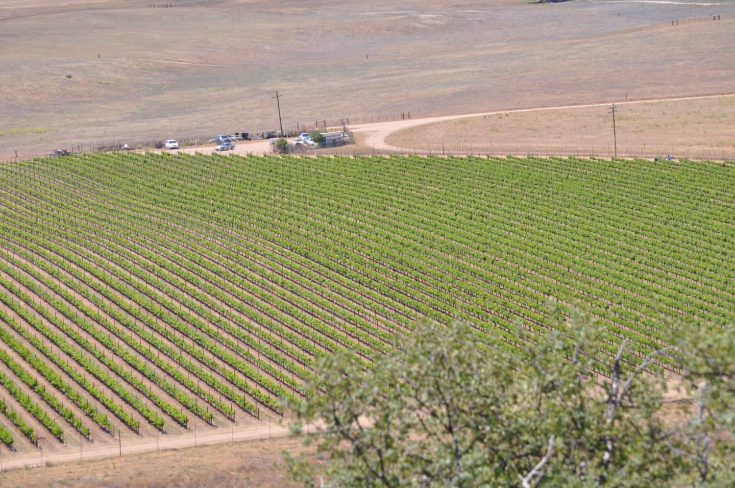 61173 Argyle Road, KING CITY, California 93930, ,Lots And Land,For Sale,Argyle Road,40963180