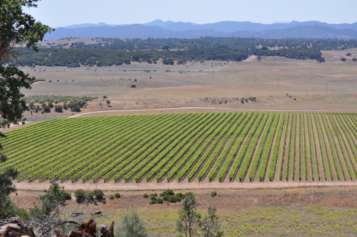 61173 Argyle Road, KING CITY, California 93930, ,Lots And Land,For Sale,Argyle Road,40963180