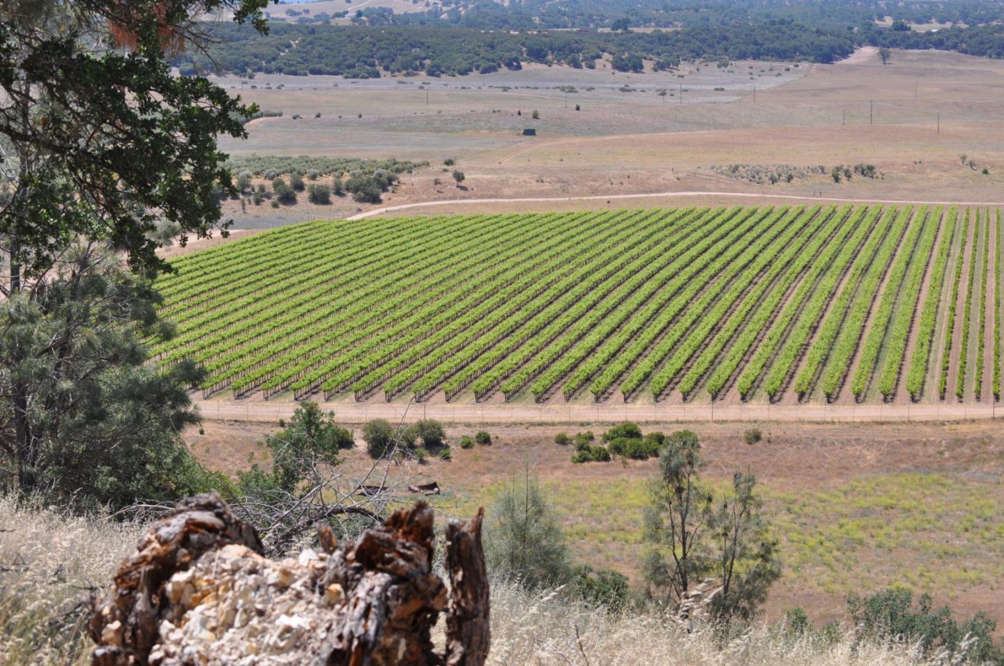 61173 Argyle Road, KING CITY, California 93930, ,Lots And Land,For Sale,Argyle Road,40963180