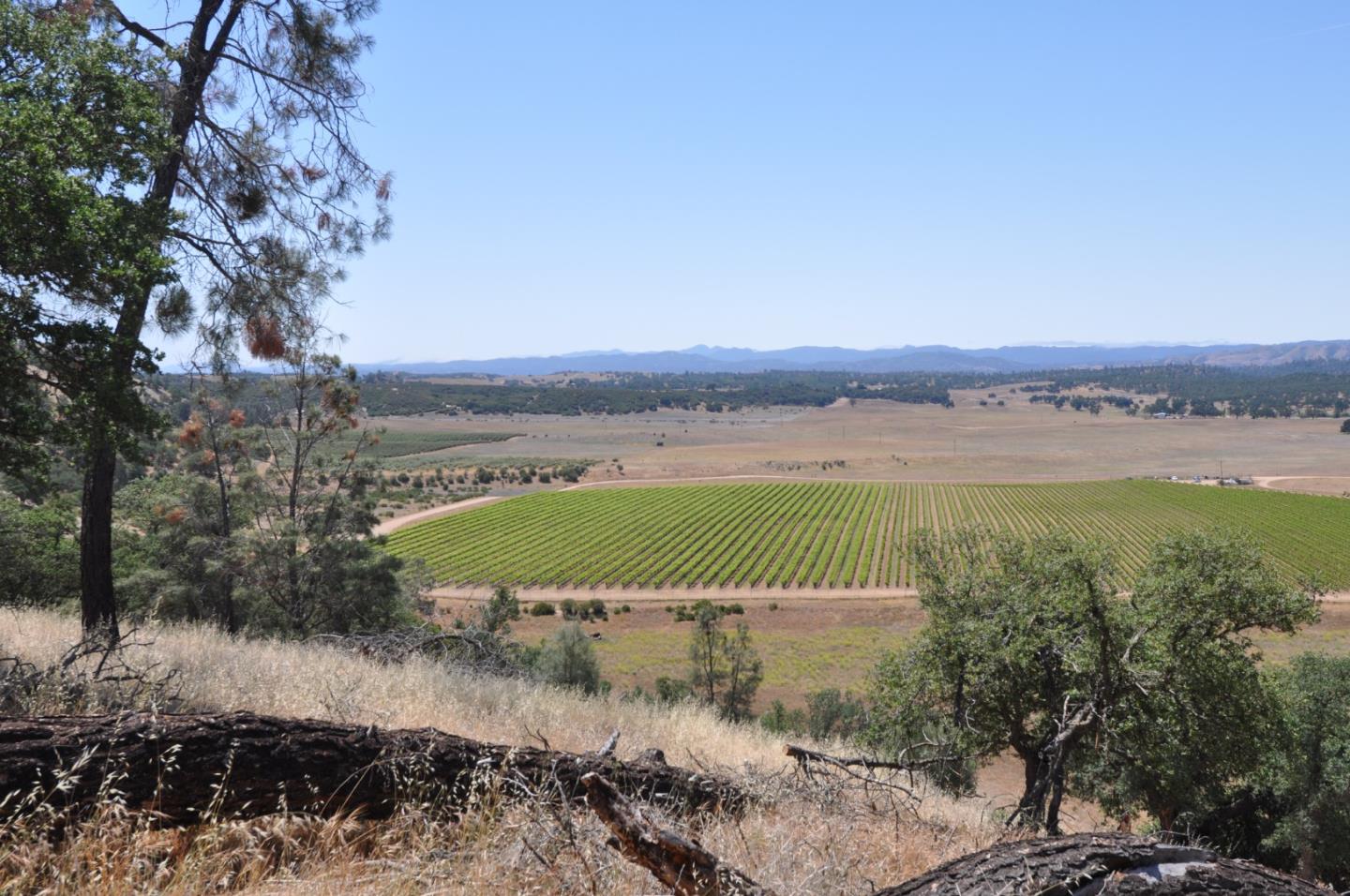 61173 Argyle Road, KING CITY, California 93930, ,Lots And Land,For Sale,Argyle Road,40963180