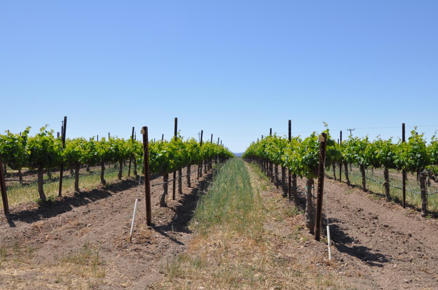 61173 Argyle Road, KING CITY, California 93930, ,Lots And Land,For Sale,Argyle Road,40963180