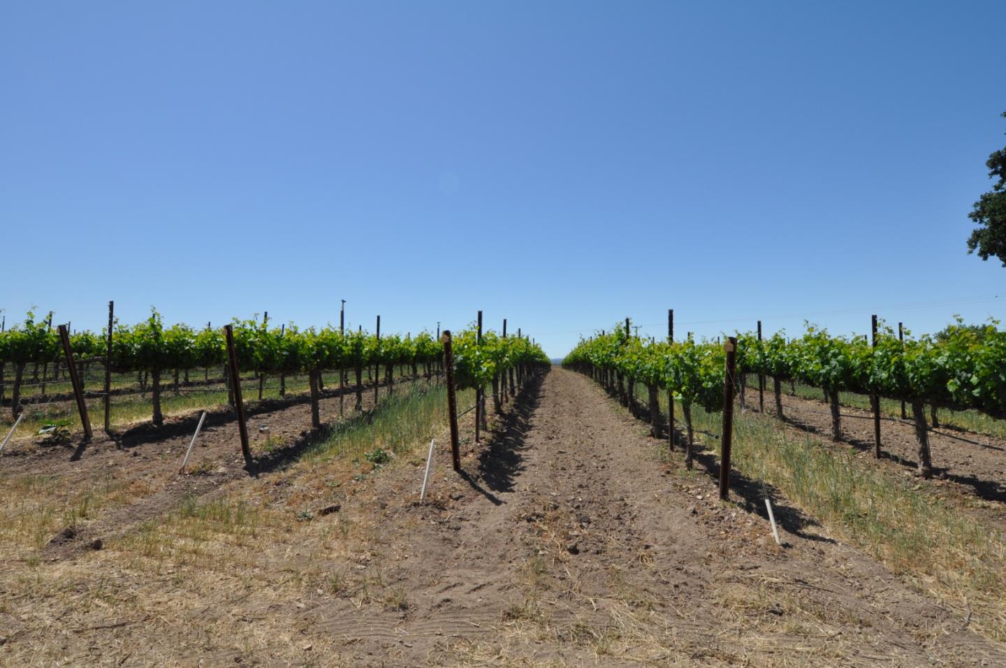 61173 Argyle Road, KING CITY, California 93930, ,Lots And Land,For Sale,Argyle Road,40963180