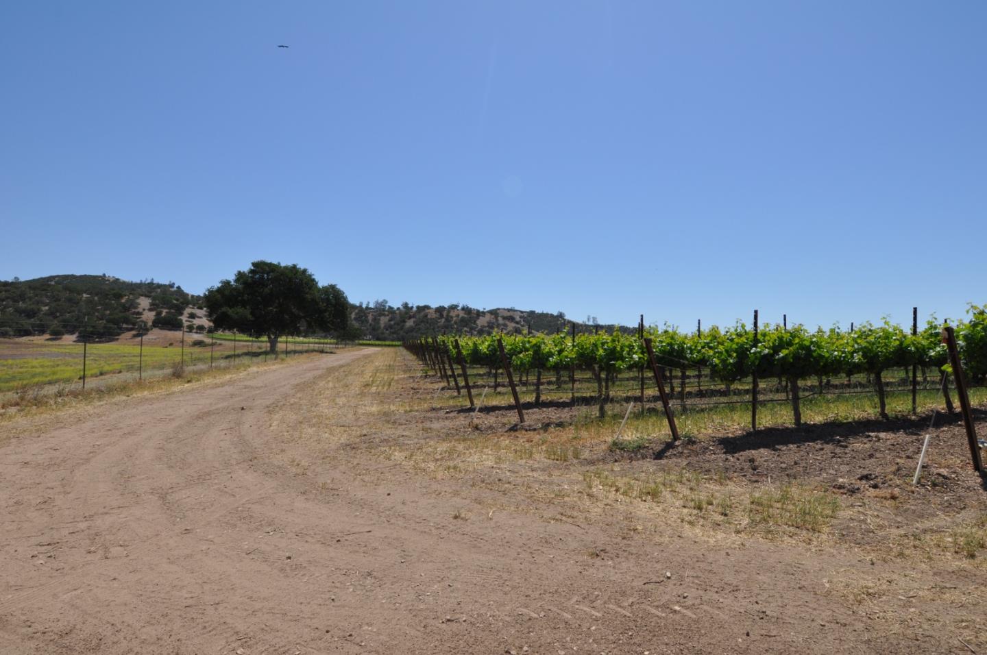 61173 Argyle Road, KING CITY, California 93930, ,Lots And Land,For Sale,Argyle Road,40963180