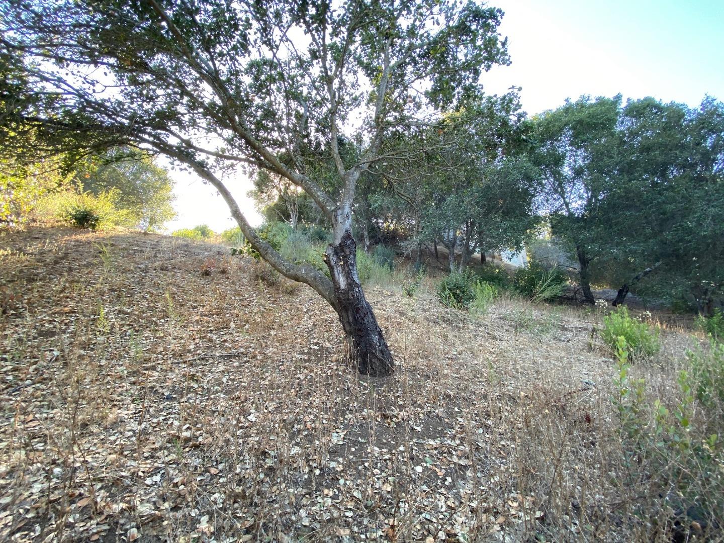 899 Madonna Way, LOS ALTOS, California 94024, ,Lots And Land,For Sale,Madonna Way,40963065