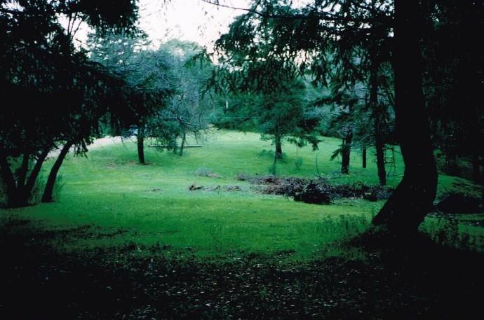 0 Black Arrow Road, LOS GATOS, California 95030, ,Lots And Land,For Sale,Black Arrow Road,40963067