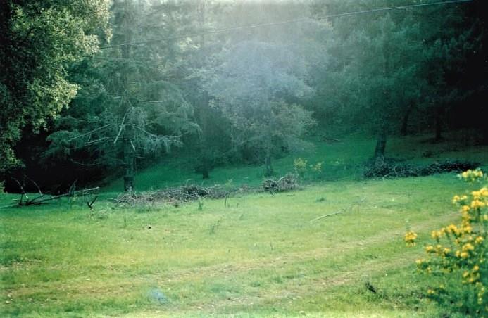 0 Black Arrow Road, LOS GATOS, California 95030, ,Lots And Land,For Sale,Black Arrow Road,40963067