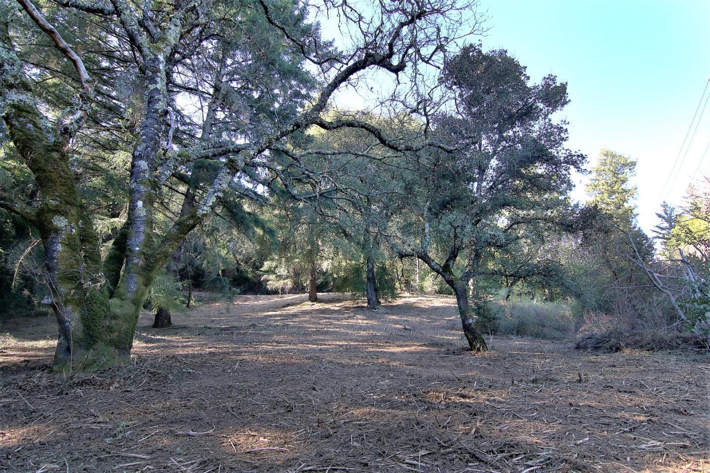 0 Black Arrow Road, LOS GATOS, California 95030, ,Lots And Land,For Sale,Black Arrow Road,40963067