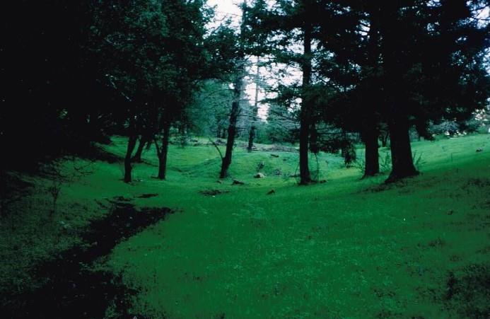 0 Black Arrow Road, LOS GATOS, California 95030, ,Lots And Land,For Sale,Black Arrow Road,40963067