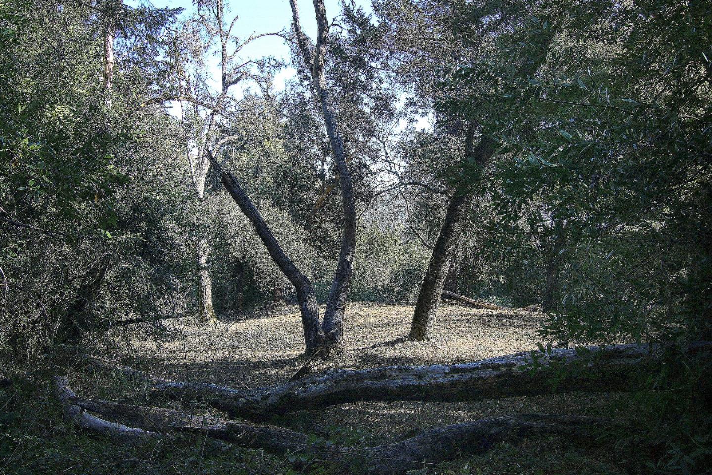 0 Black Arrow Road, LOS GATOS, California 95030, ,Lots And Land,For Sale,Black Arrow Road,40963067