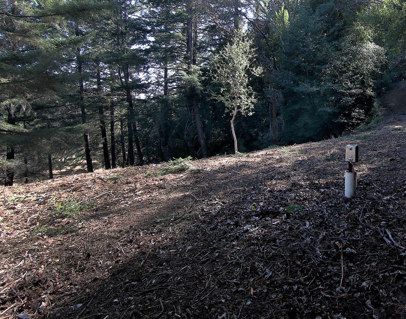 0 Black Arrow Road, LOS GATOS, California 95030, ,Lots And Land,For Sale,Black Arrow Road,40963067