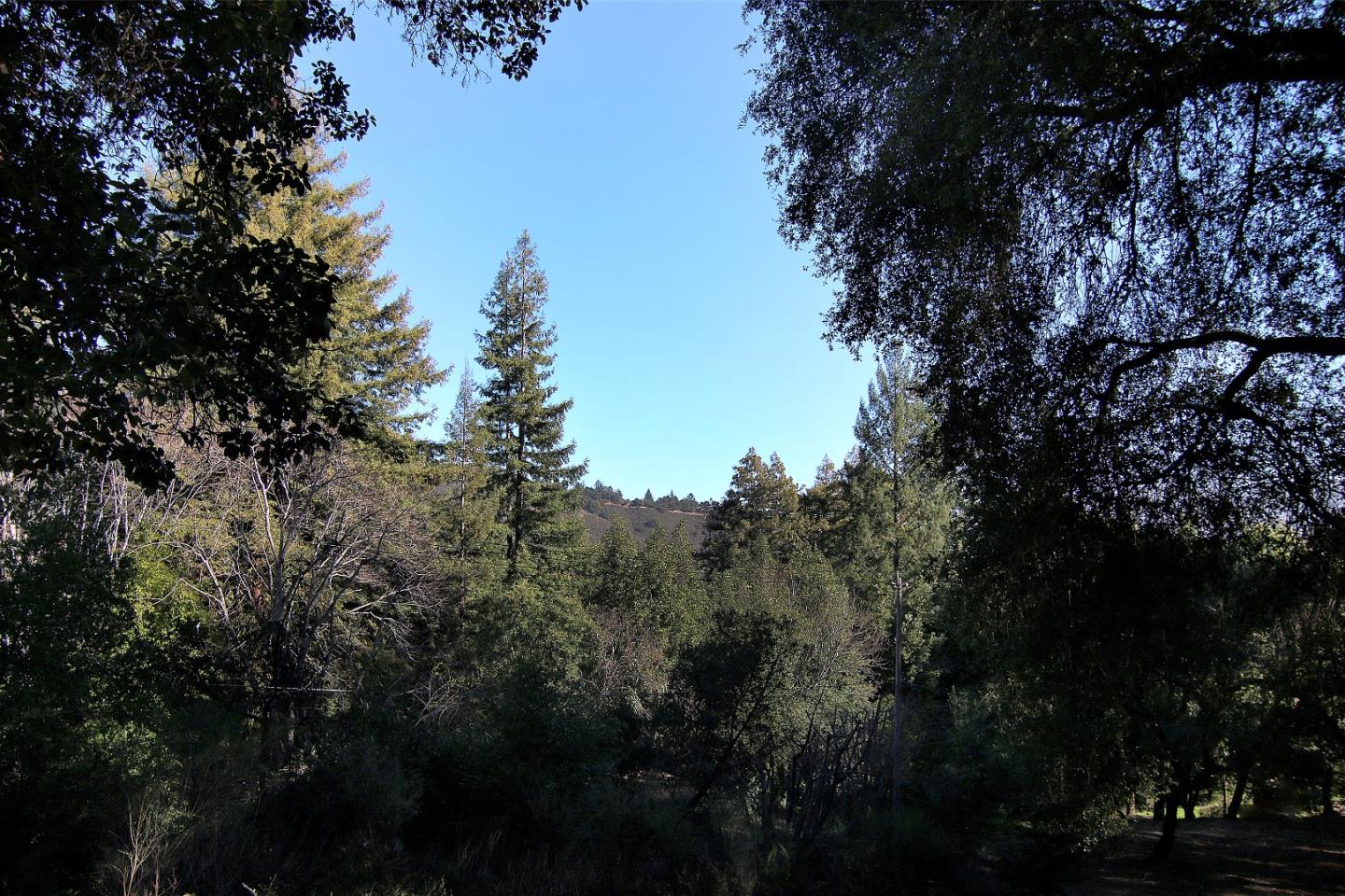 0 Black Arrow Road, LOS GATOS, California 95030, ,Lots And Land,For Sale,Black Arrow Road,40963067