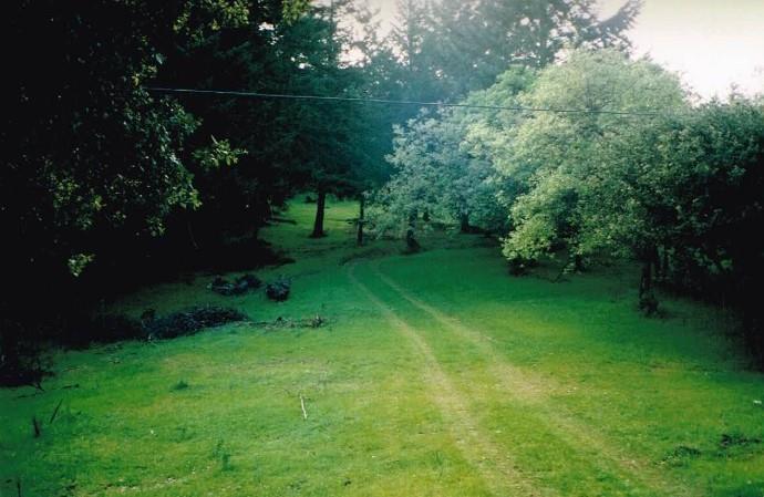 0 Black Arrow Road, LOS GATOS, California 95030, ,Lots And Land,For Sale,Black Arrow Road,40963067