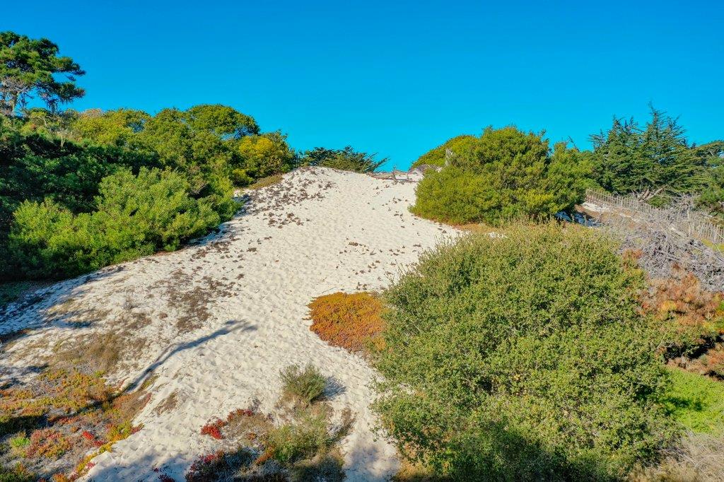 0 Pico Avenue, PACIFIC GROVE, California 93950, ,Lots And Land,For Sale,Pico Avenue,40963078