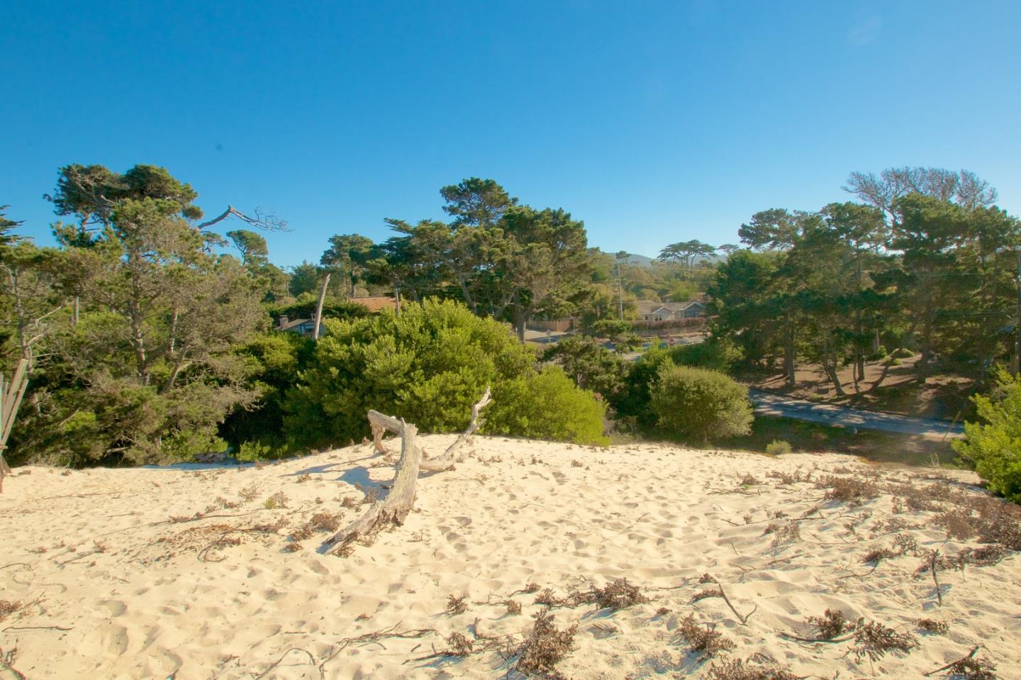 0 Pico Avenue, PACIFIC GROVE, California 93950, ,Lots And Land,For Sale,Pico Avenue,40963078