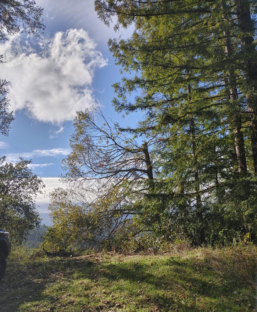 0 White Rock Road, LOS GATOS, California 95033, ,Lots And Land,For Sale,White Rock Road,40963085