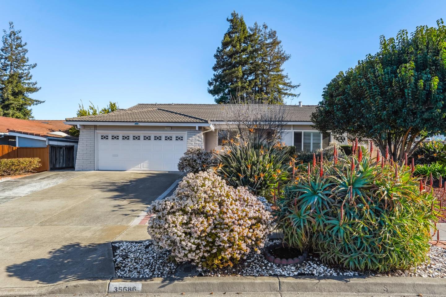 35686 Farnham Dr, Newark, CA 94560 3 Beds 2 Baths (Sold