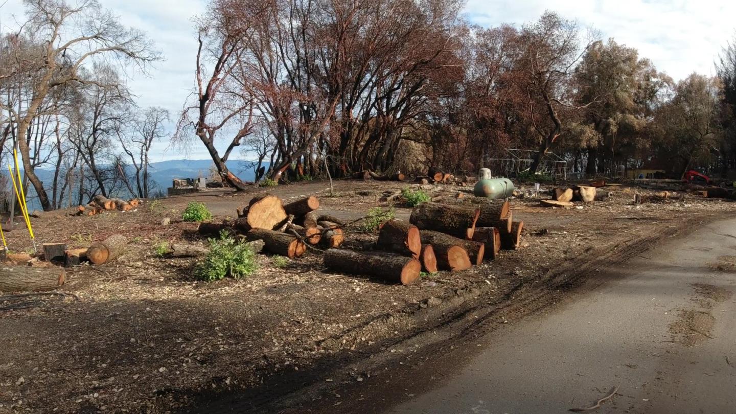 90 Braemoor Drive, SANTA CRUZ, California 95060, ,Lots And Land,For Sale,Braemoor Drive,40963102